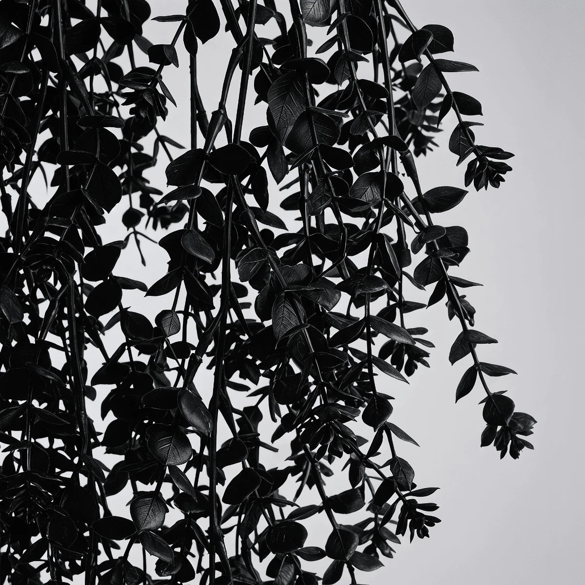 //img.ltwebstatic.com/v4/p/spmp/2026/05/30/34/1780143998f6a578c3ecd20d80fccb8feb1fea612b_square_thumbnail_900x.webp